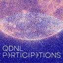 QDNL Participations