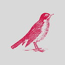 Robin Capital