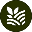 Black Seed Ventures