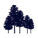 Five Elms Capital