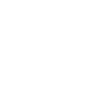 BLS Venture Capital logo