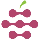 Raspberry Ventures